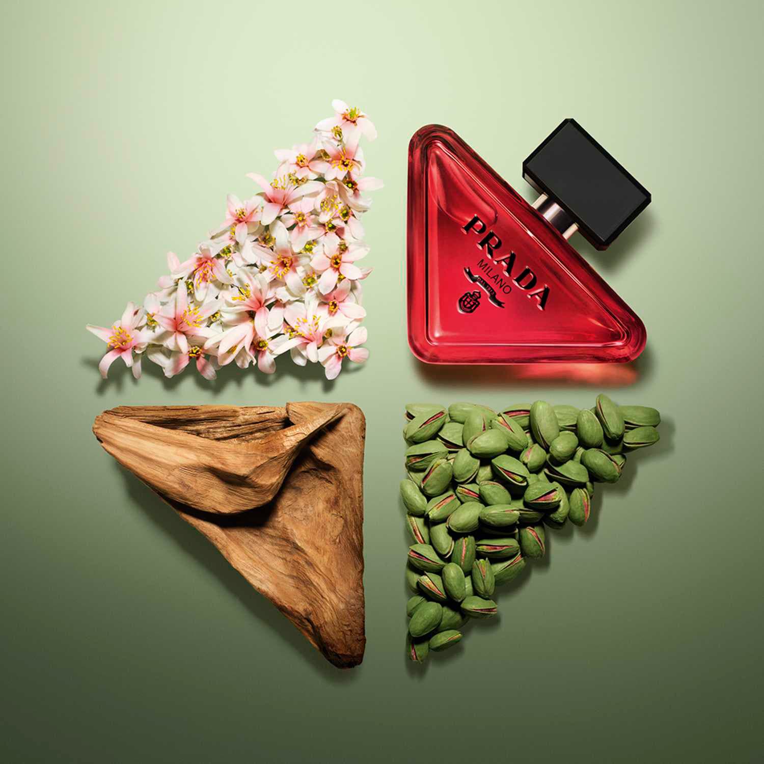 PARADOXE RADICAL ESSENCE – Image 4